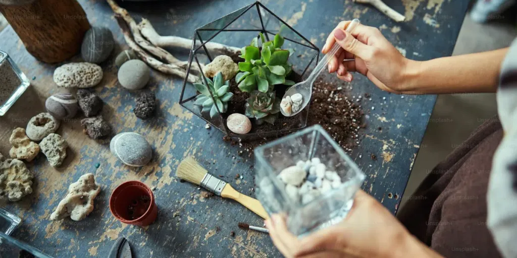 woman creating a terrarium