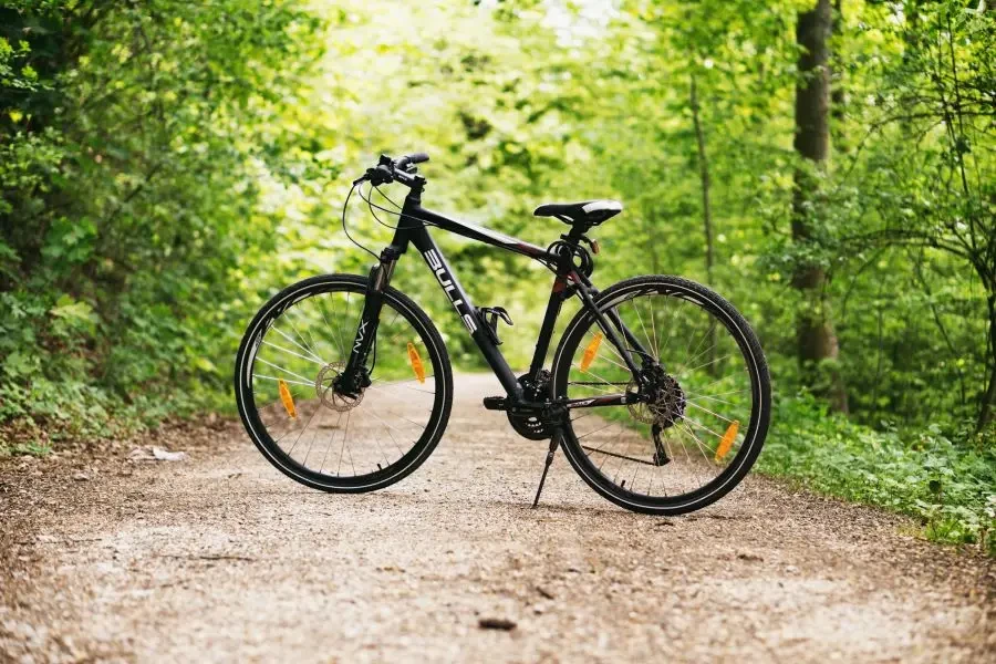 A mountain bike resting on a forest path surrounded by lush green trees in broad daylight