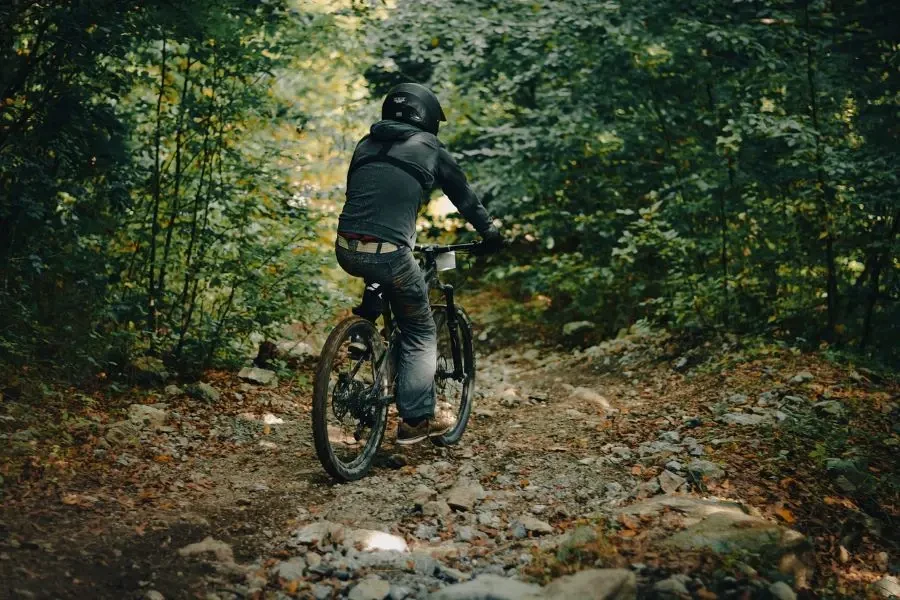 trail riding, bike ride, forest