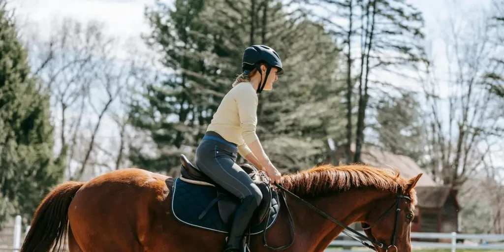 A woman gracefully riding a horse in an outdoor equestrian scene