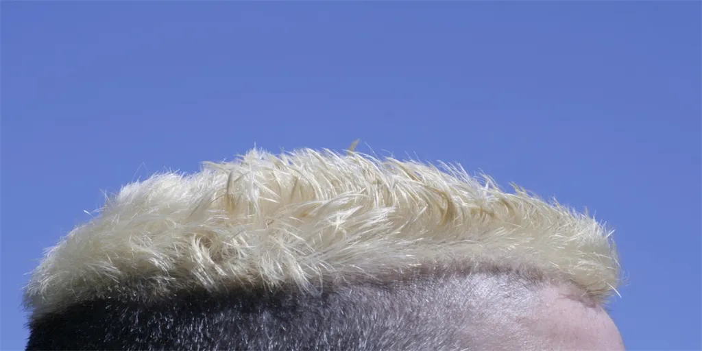 Bleached blonde top of head against blue sky