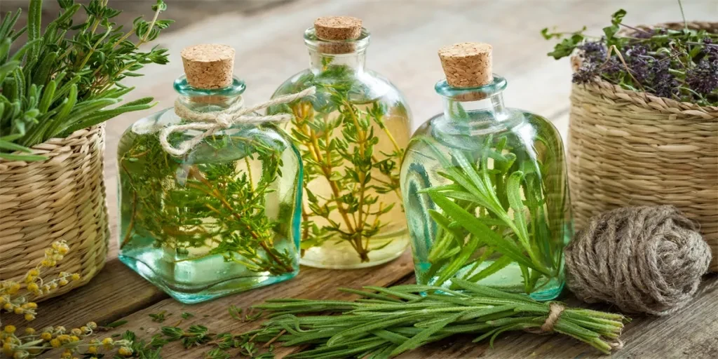 Bottles of thyme and rosemary essential oil or infusion