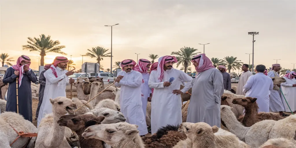 Buying and selling camels at the Al Qassim livestock market