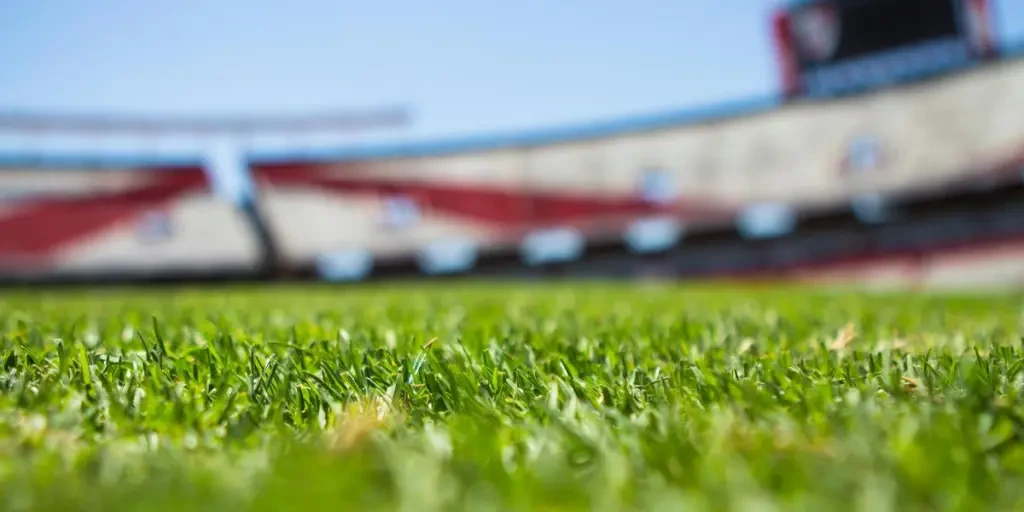 Close-up of grass with a blurred stadium background under a clear sky