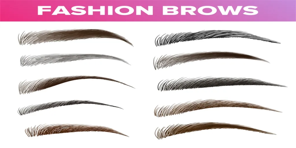 Fashion Brows Various Shapes And Types Vector Set