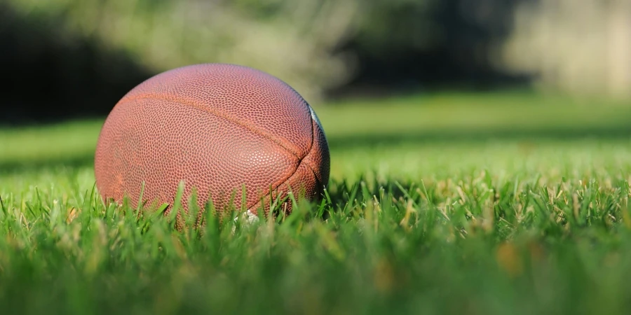 Game Ball on the ground