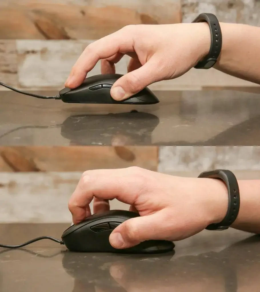 Illustration of fingertip and claw grips on a mouse