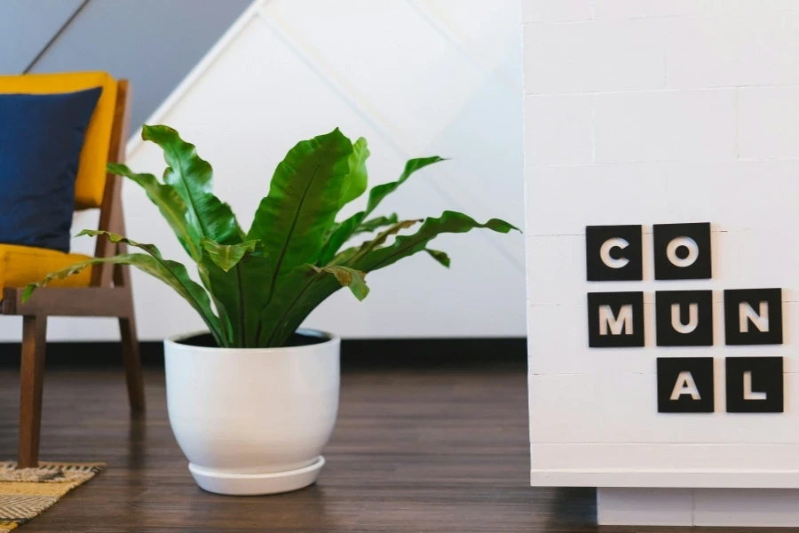 Living room with large white plant pot