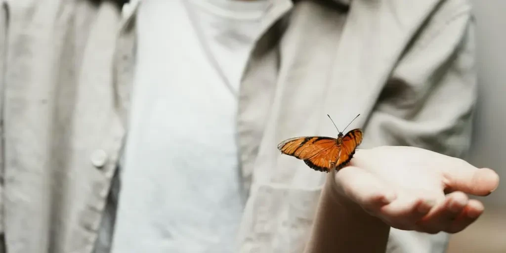 Orange butterfly sitting on the hand