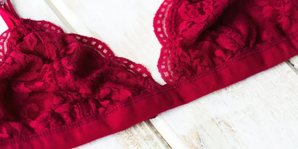 Red Lace Undergarment