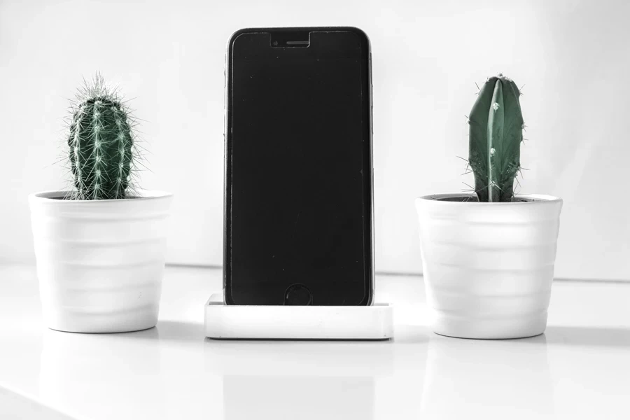 Smartphone standing between cacti in small white planters