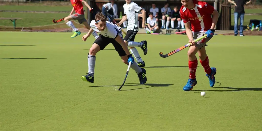 competition, ball, field hockey