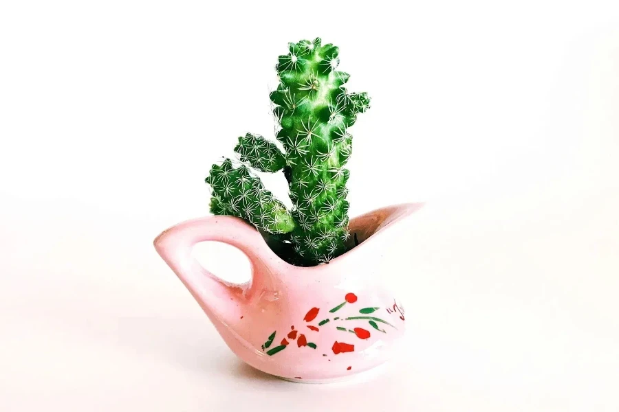 folk-inspired artistic planter with a cactus