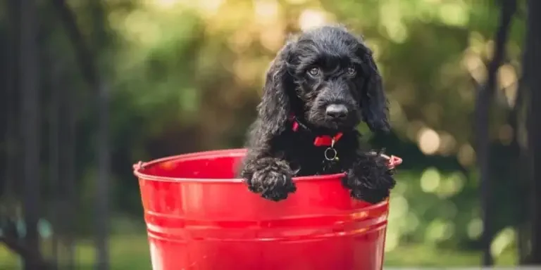 Análisis y reseña de los productos más vendidos de Amazon