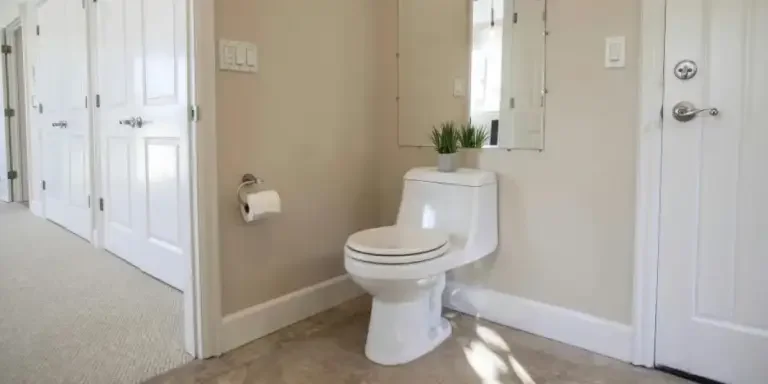 review-analysis-of-amazons-hottest-selling-toilet