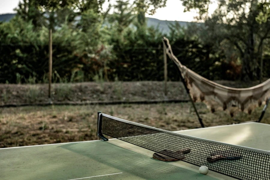 table tennis ball near rackets on table