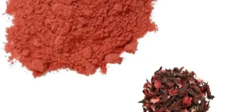 the rising popularity of hibiscus powder
