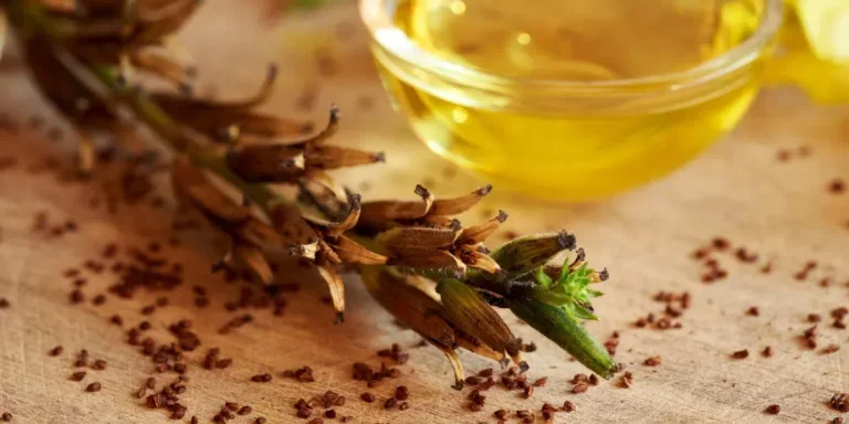 con aceite de onagra de fondo