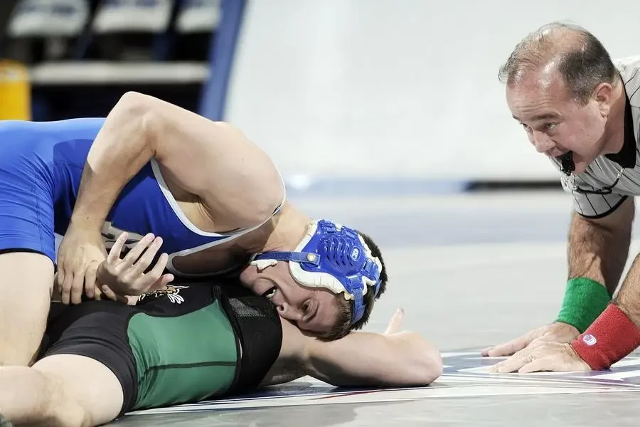 wrestling, sports, competition