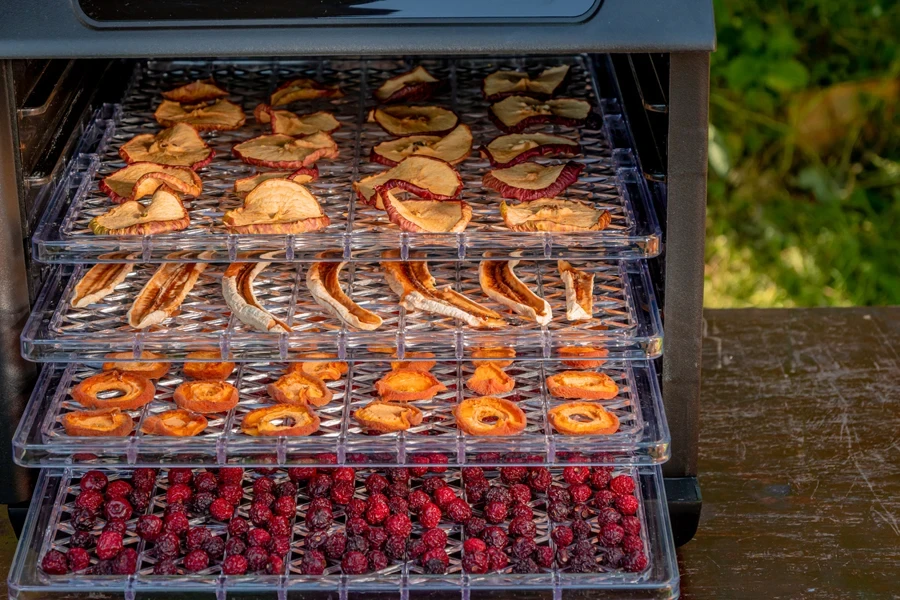 Dried fruit inside a home dehydrator