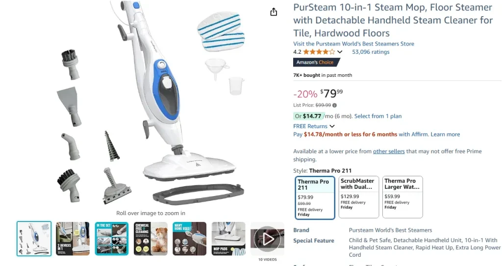 Steam Cleaner