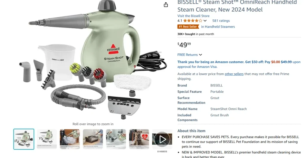 Steam Cleaner