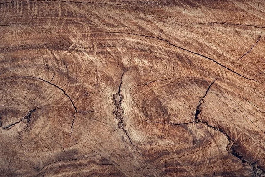 Wooden log-textured wallpaper with wood grains