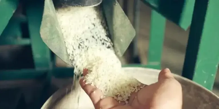 the-ultimate-guide-to-grain-mill-grinders-your-pa