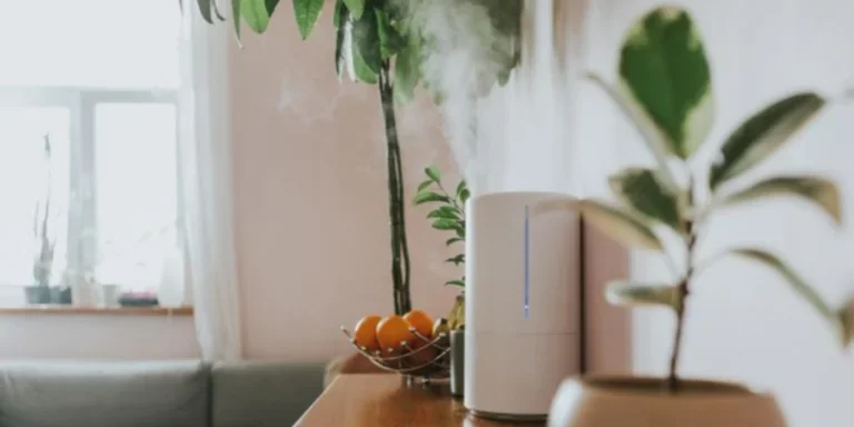 Air humidifier in the living room