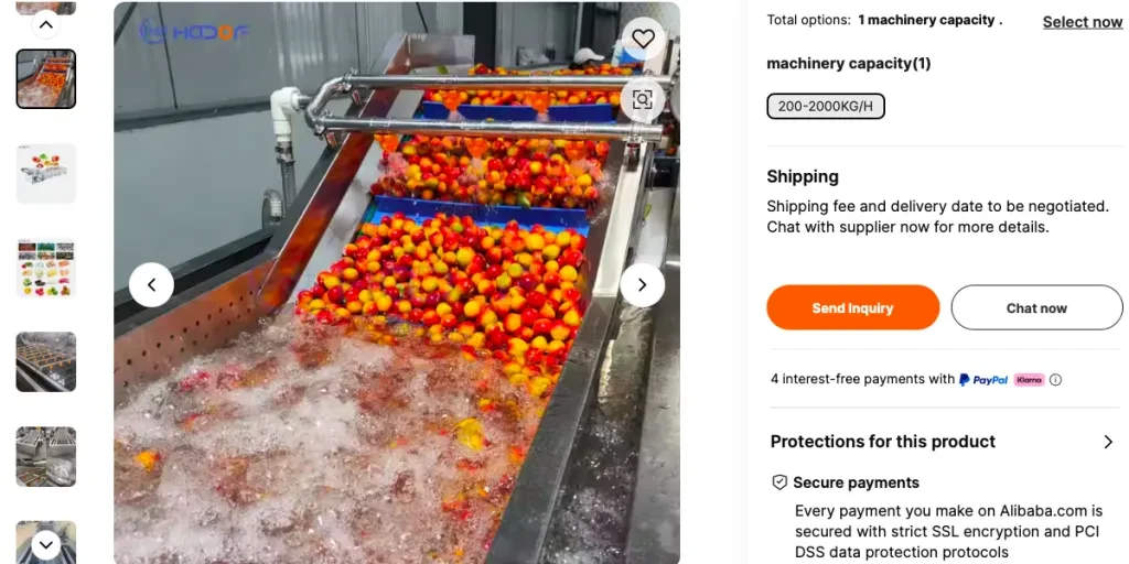 Screenshot from Alibaba.com of a fruit and vegetable washer loaded with apples