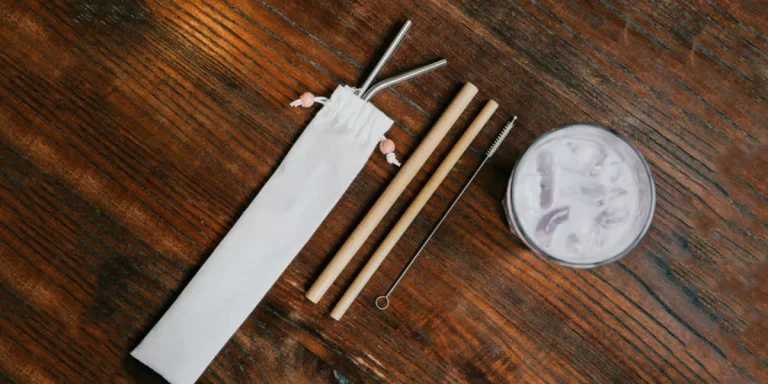 Stainless steel straw set in carrying case with bamboo straws