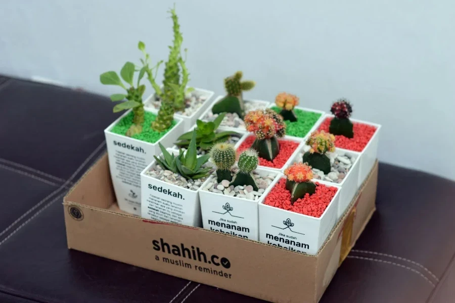 A box with multiple small vases and small planters
