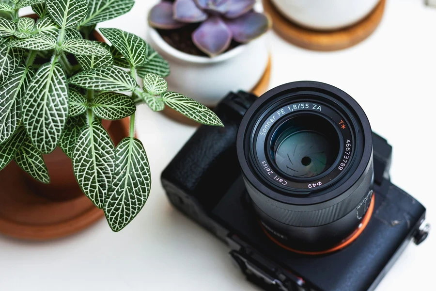 茶色の鉢植えの緑の植物の近くにある黒いフィルムカメラ