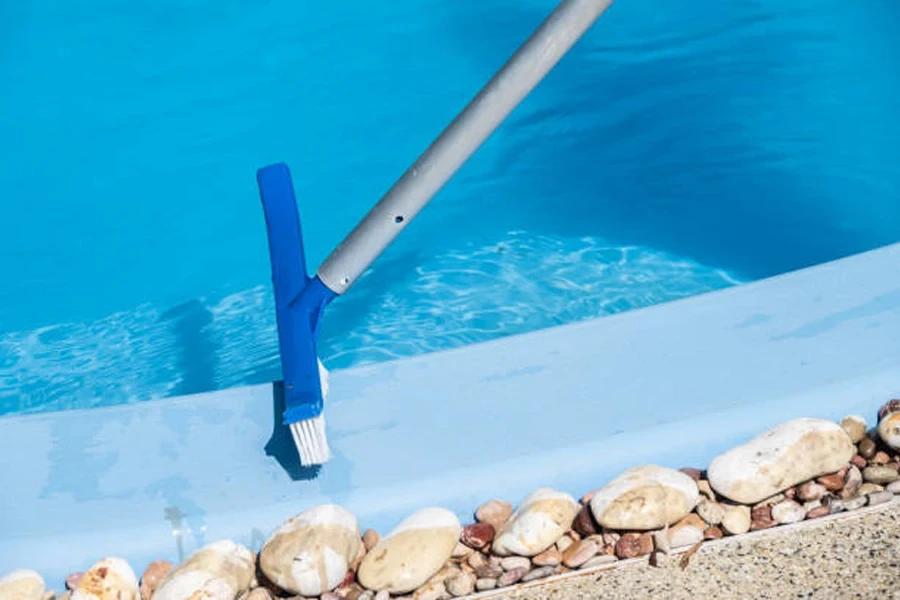 A Pool Brush