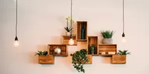 Sekumpulan kotak kayu dengan tumbuhan di atasnya
