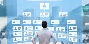 A man looking at the structure of a corporation