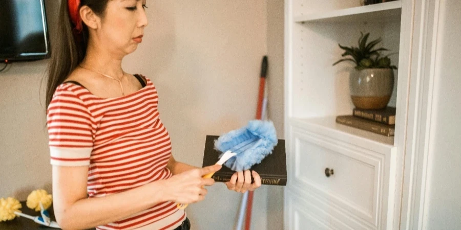 A person holding a brush and a duster