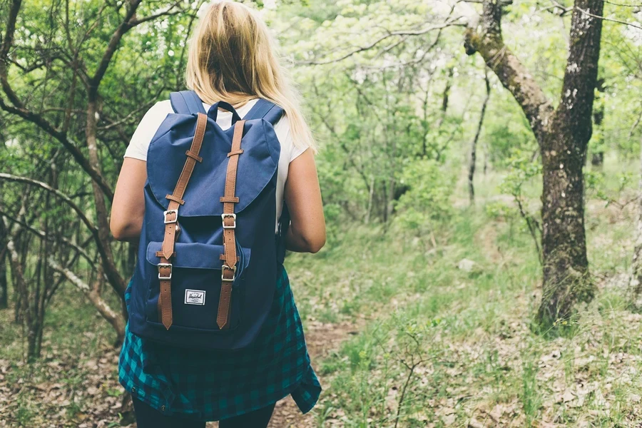 A person with a backpack walking in the woods