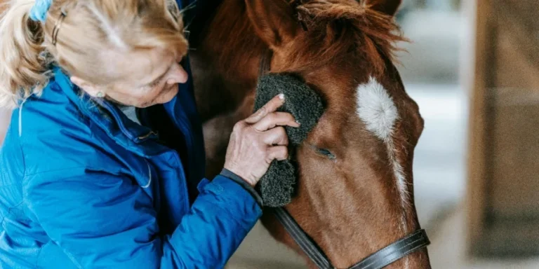 A woman in a blue jacket grooming a brown horse