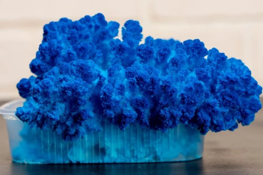 Blue Coral