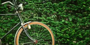 Close-up of a vintage bicycle's wheel with lush green shrubbery background, perfect for eco and travel themes