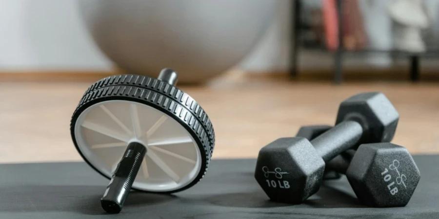 Close-up of ab wheel and dumbbells on a mat in a home gym setting