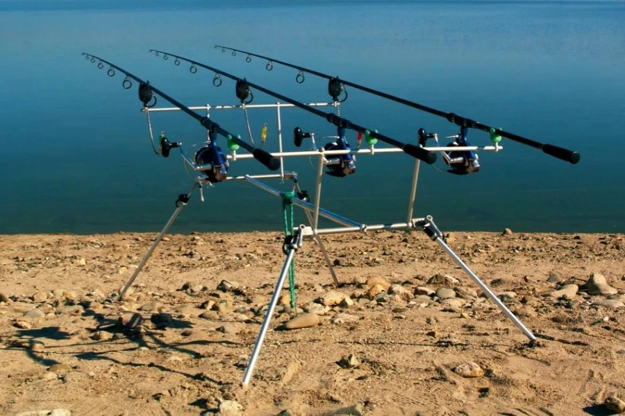 Fishing rod with reel on rod pod with support system