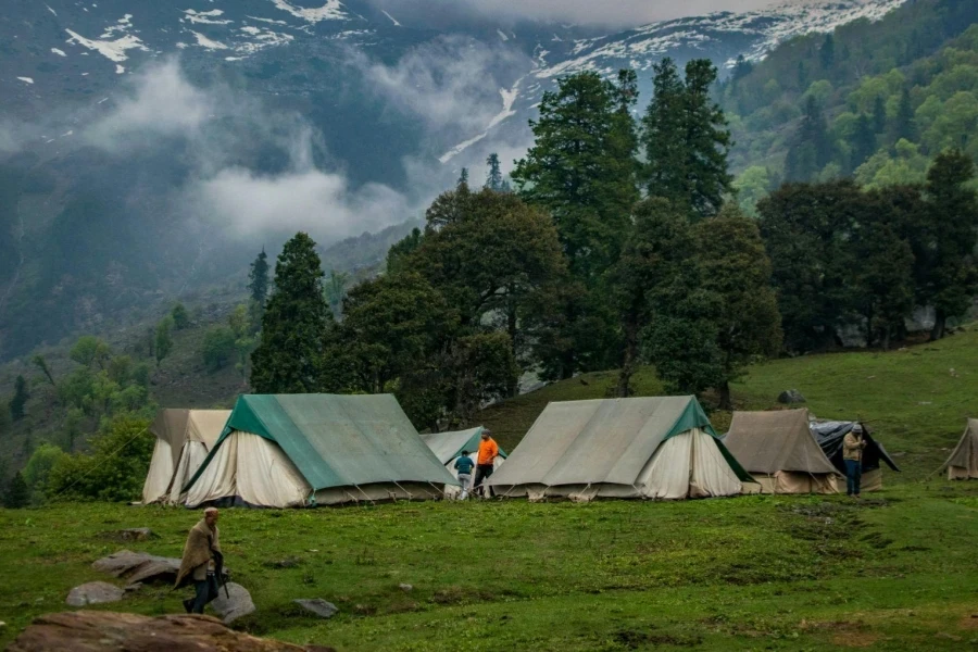 Green and White Tents Near Trees