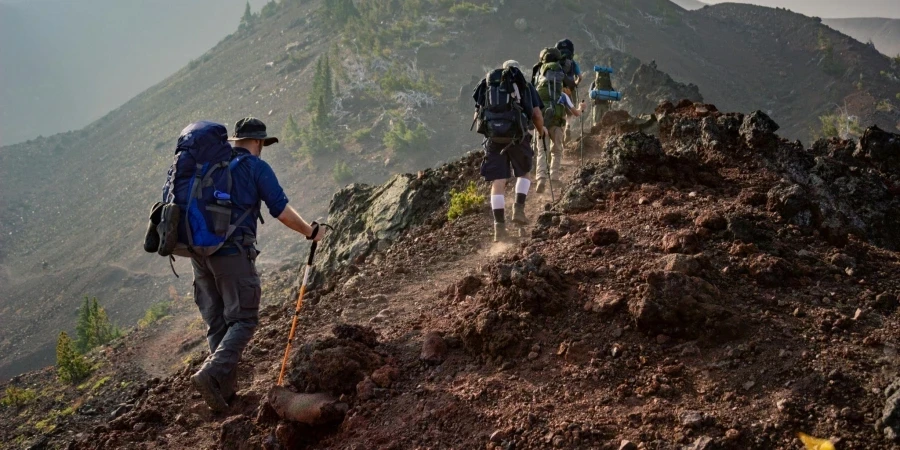 Group of Person Walking in Mountain
