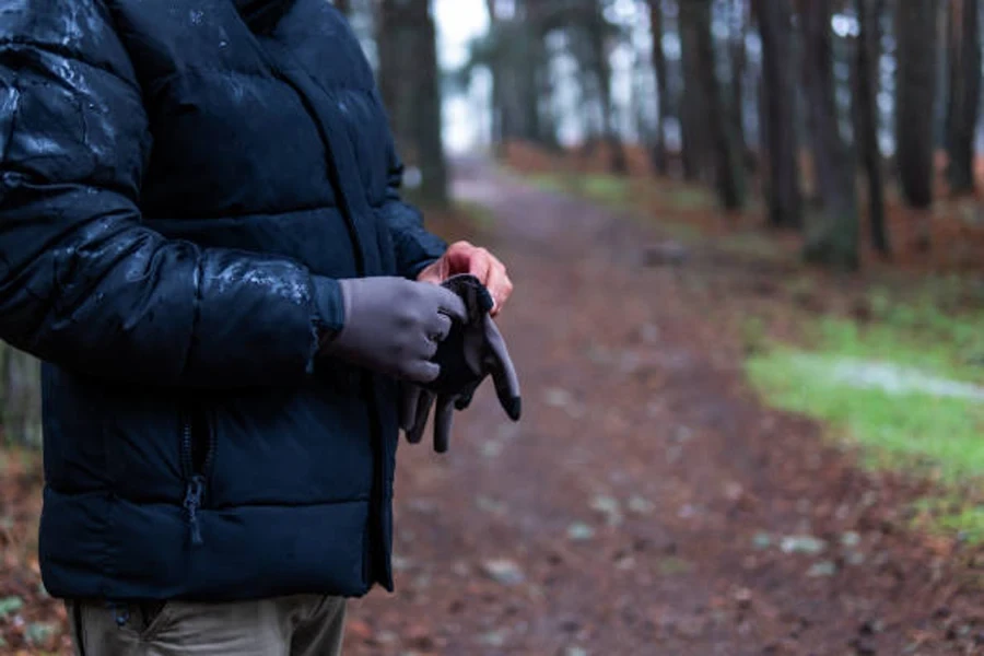 Hands Equipped with Gloves