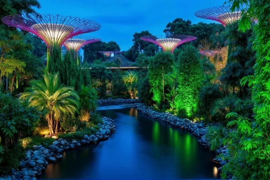 Jungle-Like Surroundings