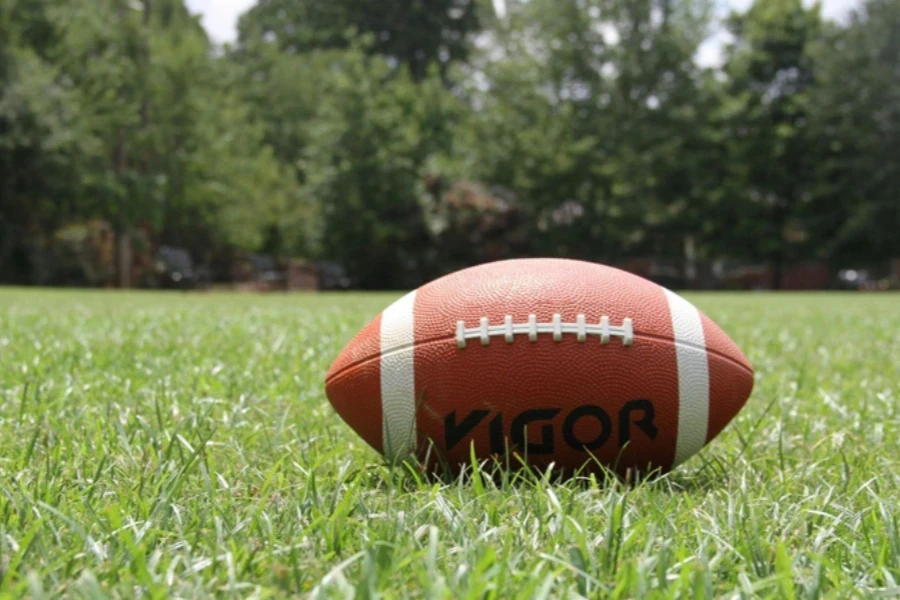 Kigoa Football on Green Grass during Daytime
