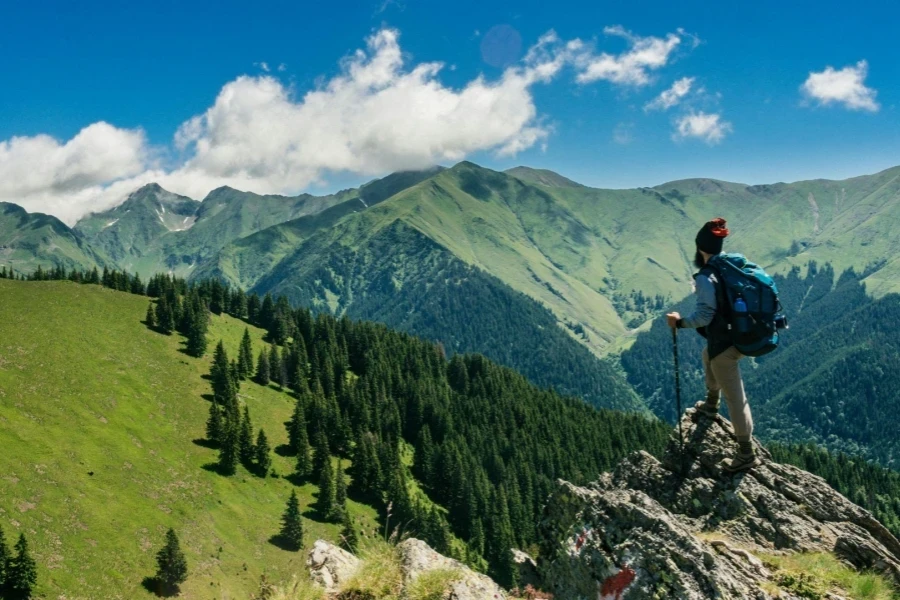 Man Standing on a Rock