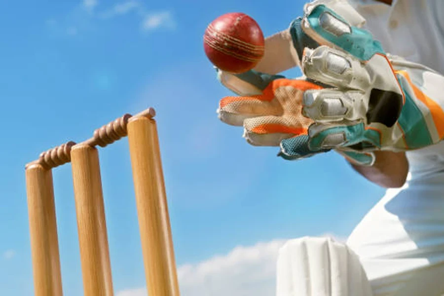 Wicketkeeper catching cricket ball on ground against sky.